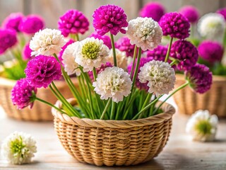 White Magenta Armeria Plectranthus Woven Reed Pot