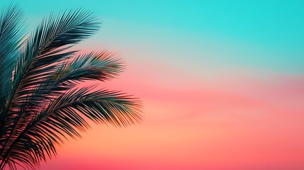 Palm Tree Silhouette Against a Colorful Sky Gradient, Evoking a Sense of Tranquility and Beauty.