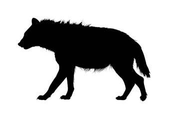 Silhouette of a hyena – vector illustration