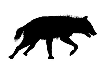 Silhouette of a hyena – vector illustration