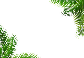 Frame With Green Palm Tree Leaves
