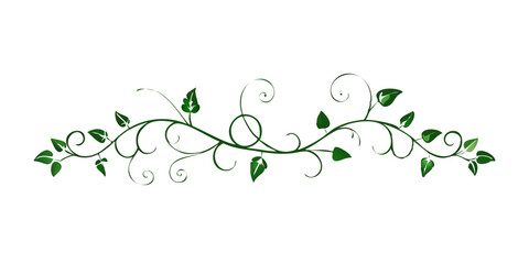 Elegant black vine divider with leaves