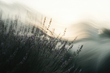 Obraz premium Abstract dreamy image of lavender field at sunset, with blurred motion effect creating a serene atmosphere.