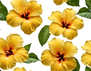 set of yellow flowers