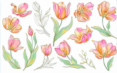 A watercolor clip art set of delicate pink and orange tulips, with soft green leaves, arranged in various poses on an isolated white background