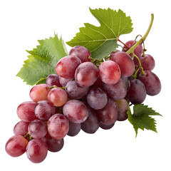 Fototapeta premium A bunch of ripe red grapes, a healthy and sweet fruit, isolated on white