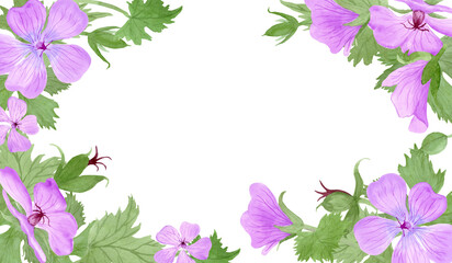 Rectangle frame with light purple geranium maculatum flowers and leaves by watercolor