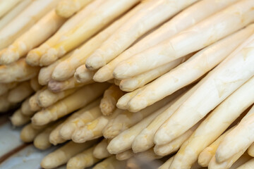 A bunch of asparagus sticks are piled up in a pile