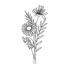 Hand drawn flower. Wildflower line art bouquets, wild plant, botanical vector illustration