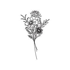 Hand drawn flower. Wildflower line art bouquets, wild plant, botanical vector illustration