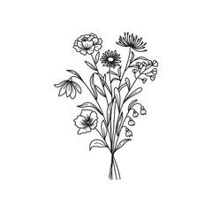 Hand drawn flower. Wildflower line art bouquets, wild plant, botanical vector illustration