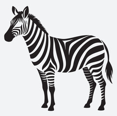 zebra silhouette vector art illustration, zebra isolated on white background