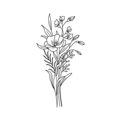 Hand drawn flower. Wildflower line art bouquets, wild plant, botanical vector illustration