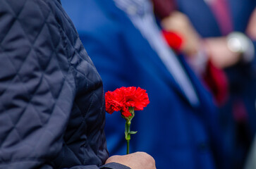 hand of a man holding a carnation during the commemoration of the 25th of April in Portugal.
