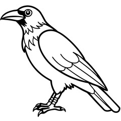 Abstract One-Line Crow Vector Illustration