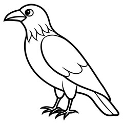 Obraz premium Abstract One-Line Crow Vector Illustration
