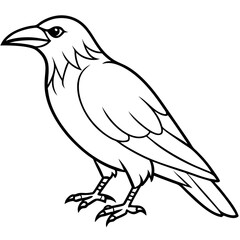 Obraz premium Abstract One-Line Crow Vector Illustration