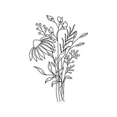 Hand drawn of flower vector. Wildflower line art bouquets, wild plant, botanical vector illustration	