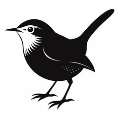 vector illustration of a bird