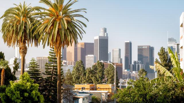 the skyline of los angeles with palm trees
