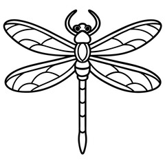 Sea Dragonfly Minimal Line Illustration