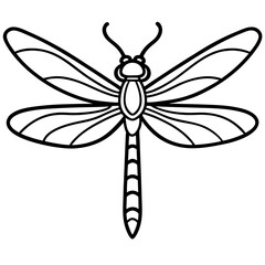 Sea Dragonfly Minimal Line Illustration