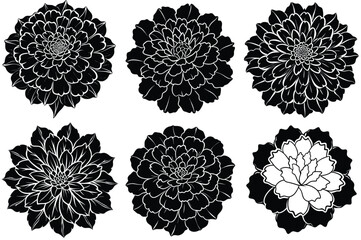Marigold petals flowers silhouette vector illustration isolated on white background.