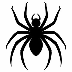 Simple Spider Silhouette Illustration