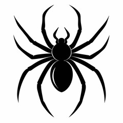 Simple Spider Silhouette Illustration