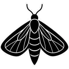 Animal Moth silhouette vector illustrator 