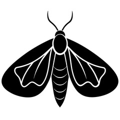 Animal Moth silhouette vector illustrator 