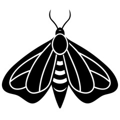 Animal Moth silhouette vector illustrator 