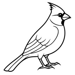 Cardinal Bird Continuous Line Art Vector