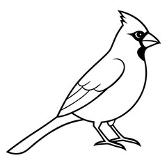 Cardinal Bird Continuous Line Art Vector