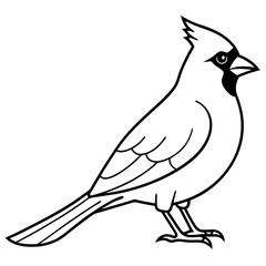 Cardinal Bird Continuous Line Art Vector