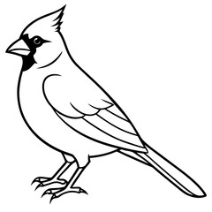 Cardinal Bird Continuous Line Art Vector