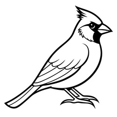 Fototapeta premium Cardinal Bird Continuous Line Art Vector