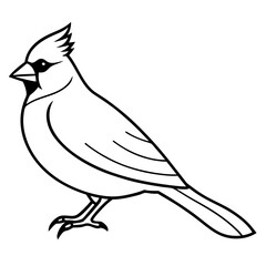 Cardinal Bird Continuous Line Art Vector