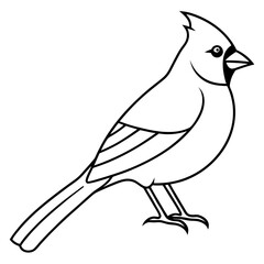 Cardinal Bird Continuous Line Art Vector