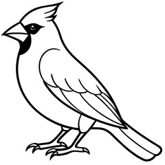 Cardinal Bird Continuous Line Art Vector