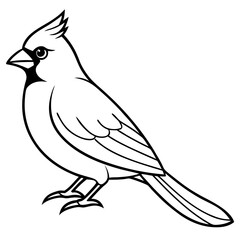 Cardinal Bird Continuous Line Art Vector