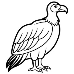 Elegant Condor Outline Vector Design