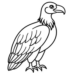 Elegant Condor Outline Vector Design