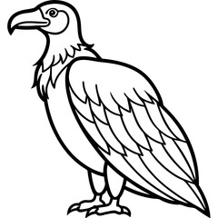 Elegant Condor Outline Vector Design