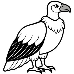 Elegant Condor Outline Vector Design