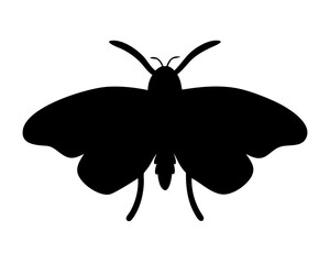 vector illustration of Moth silhouette