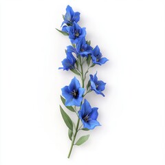 Blue gentian flower stem arrangement on white background