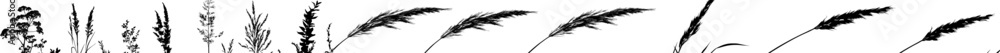 Poster stylized vector illustration of tall grass swaying gently in a soft breeze against a minimalistic ba