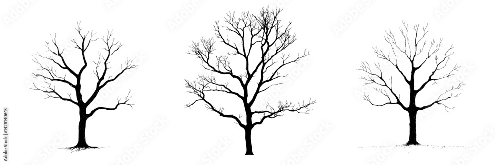 Poster silhouette vector illustration of three different leafless tree designs showcasing unique branch str