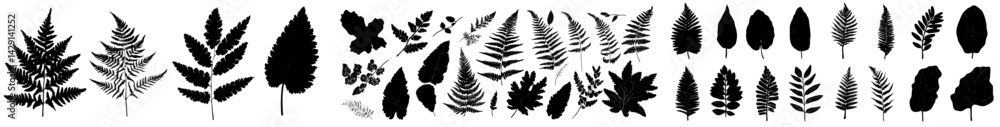 Aufkleber vector illustration of various fern and leaf silhouettes arranged in a harmonious pattern for design